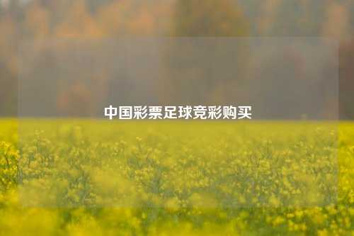中国彩票足球竞彩购买