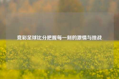 竞彩足球比分把握每一刻的激情与挑战