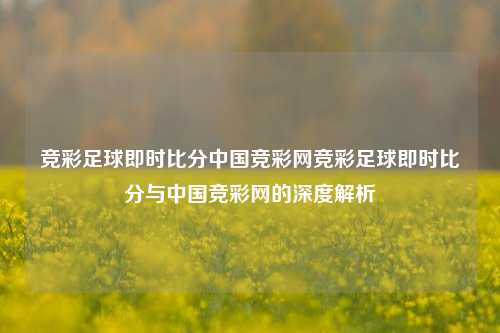 竞彩足球即时比分中国竞彩网竞彩足球即时比分与中国竞彩网的深度解析