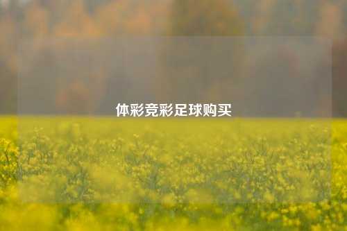体彩竞彩足球购买