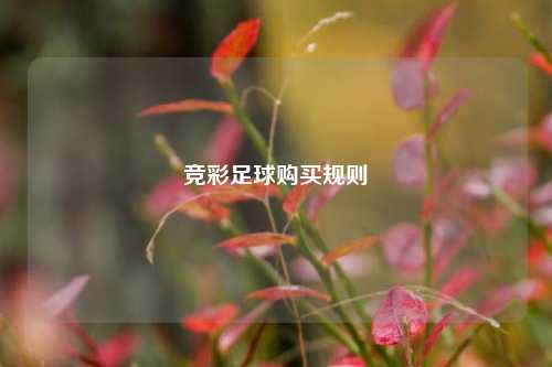 竞彩足球购买规则
