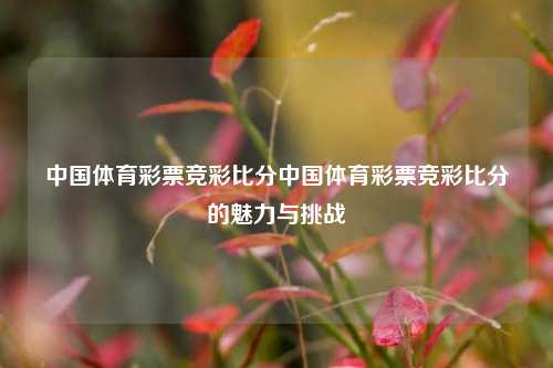 中国体育彩票竞彩比分中国体育彩票竞彩比分的魅力与挑战