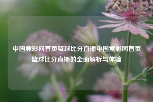 中国竞彩网首页篮球比分直播中国竞彩网首页篮球比分直播的全面解析与体验