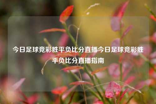 今日足球竞彩胜平负比分直播今日足球竞彩胜平负比分直播指南