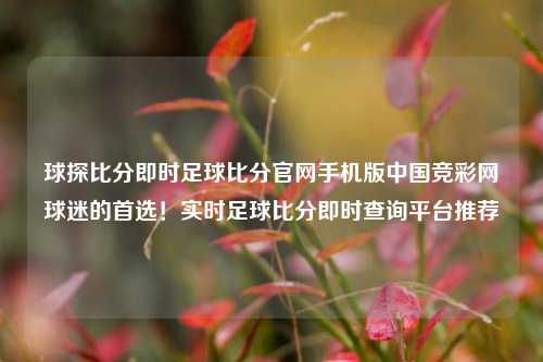球探比分即时足球比分官网手机版中国竞彩网球迷的首选！实时足球比分即时查询平台推荐