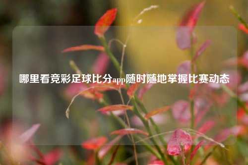 哪里看竞彩足球比分app随时随地掌握比赛动态