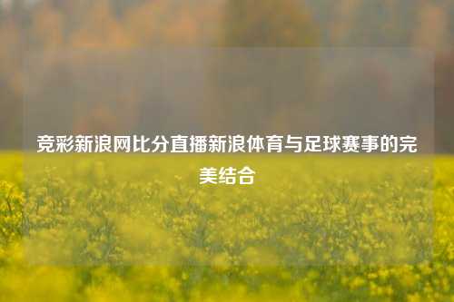 竞彩新浪网比分直播新浪体育与足球赛事的完美结合