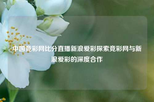 中国竞彩网比分直播新浪爱彩探索竞彩网与新浪爱彩的深度合作