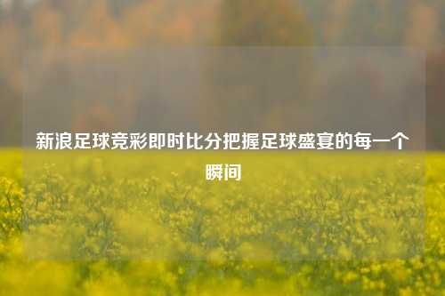 新浪足球竞彩即时比分把握足球盛宴的每一个瞬间