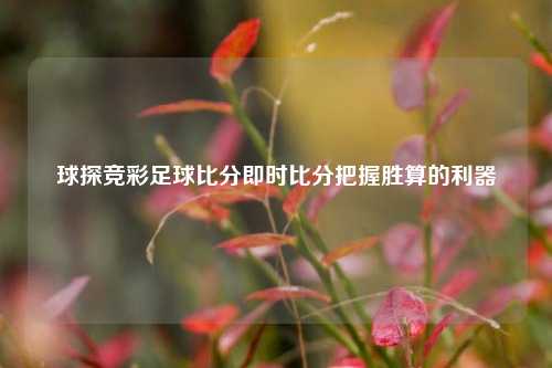 球探竞彩足球比分即时比分把握胜算的利器