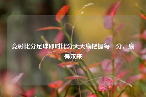 竞彩比分足球即时比分天天赢把握每一分，赢得未来