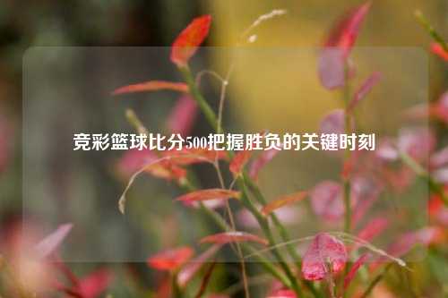 竞彩篮球比分500把握胜负的关键时刻