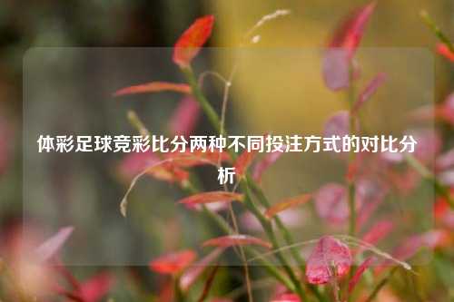 体彩足球竞彩比分两种不同投注方式的对比分析