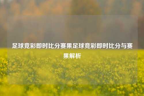 足球竞彩即时比分赛果足球竞彩即时比分与赛果解析