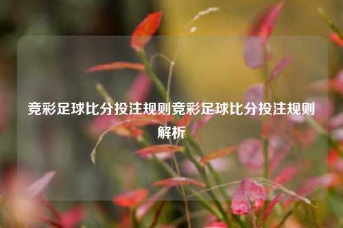 竞彩足球比分投注规则竞彩足球比分投注规则解析