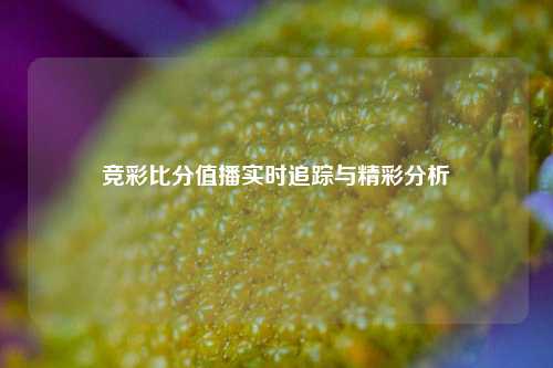 竞彩比分值播实时追踪与精彩分析