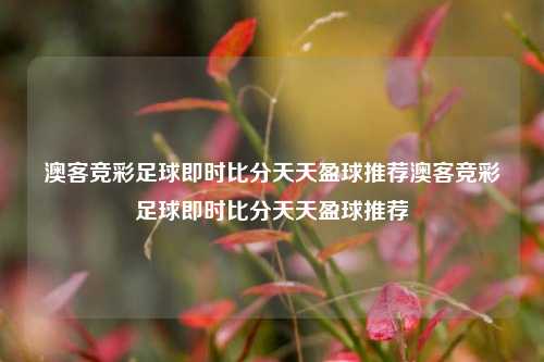 澳客竞彩足球即时比分天天盈球推荐澳客竞彩足球即时比分天天盈球推荐