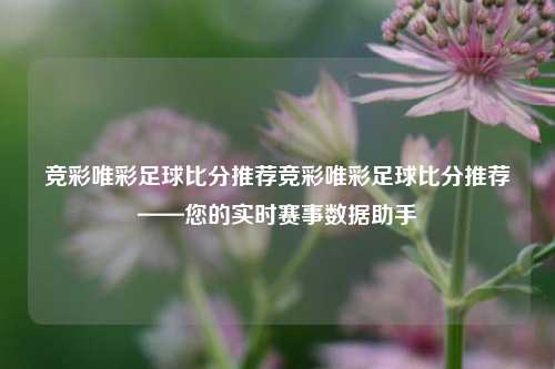 竞彩唯彩足球比分推荐竞彩唯彩足球比分推荐——您的实时赛事数据助手