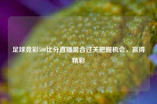 足球竞彩500比分直播混合过关把握机会，赢得精彩