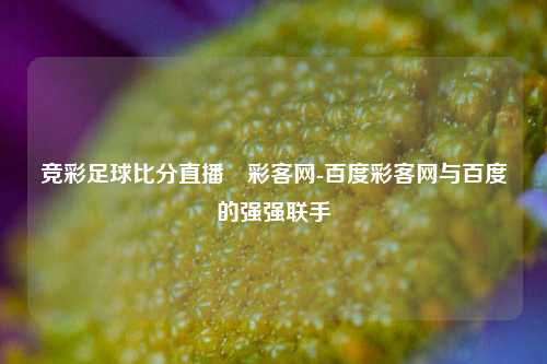 竞彩足球比分直播–彩客网-百度彩客网与百度的强强联手