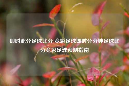 即时此分足球比分 竞彩足球即时分分钟足球比分竞彩足球预测指南