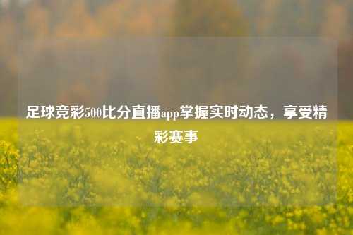 足球竞彩500比分直播app掌握实时动态，享受精彩赛事