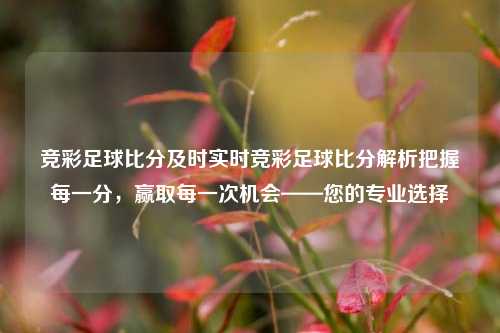 竞彩足球比分及时实时竞彩足球比分解析把握每一分，赢取每一次机会——您的专业选择