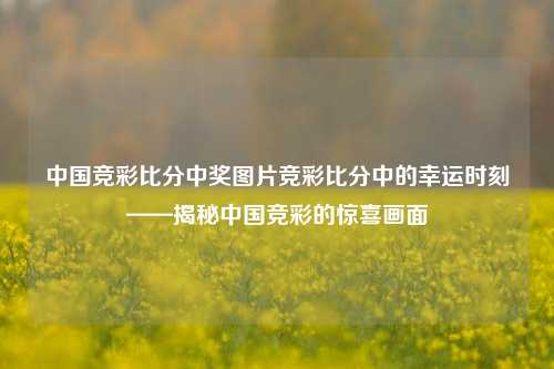 中国竞彩比分中奖图片竞彩比分中的幸运时刻——揭秘中国竞彩的惊喜画面