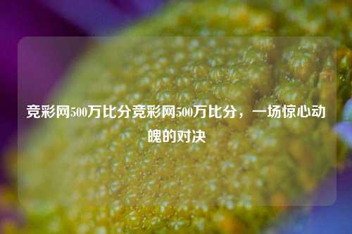 竞彩网500万比分竞彩网500万比分，一场惊心动魄的对决