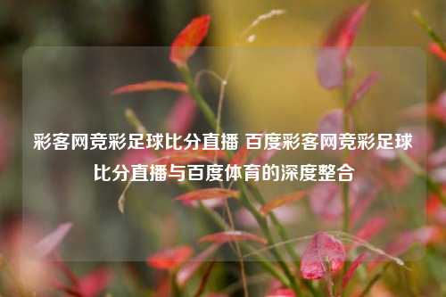 彩客网竞彩足球比分直播 百度彩客网竞彩足球比分直播与百度体育的深度整合