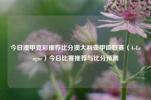 今日澳甲竞彩推荐比分澳大利亚甲级联赛（A-League）今日比赛推荐与比分预测