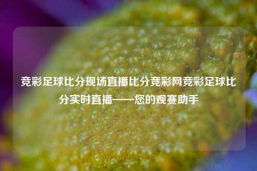 竞彩足球比分现场直播比分竞彩网竞彩足球比分实时直播——您的观赛助手