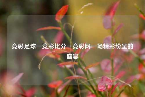 竞彩足球一竞彩比分一竞彩网一场精彩纷呈的盛宴
