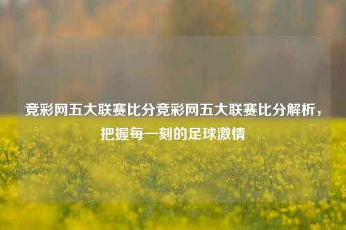 竞彩网五大联赛比分竞彩网五大联赛比分解析，把握每一刻的足球激情