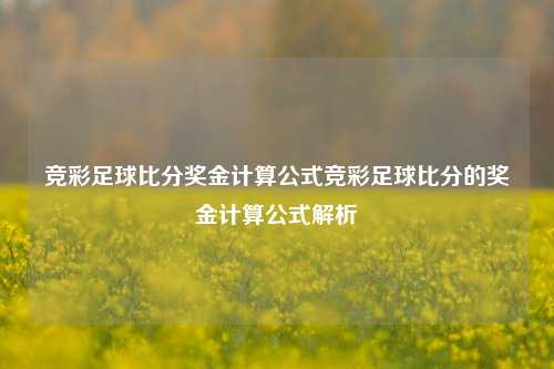 竞彩足球比分奖金计算公式竞彩足球比分的奖金计算公式解析