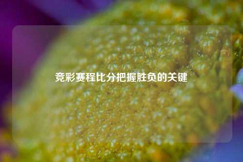 竞彩赛程比分把握胜负的关键