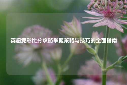 英超竞彩比分攻略掌握策略与技巧的全面指南