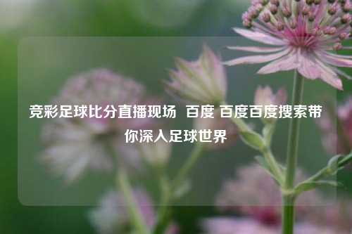 竞彩足球比分直播现场  百度 百度百度搜索带你深入足球世界
