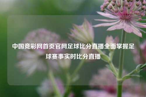 中国竞彩网首页官网足球比分直播全面掌握足球赛事实时比分直播