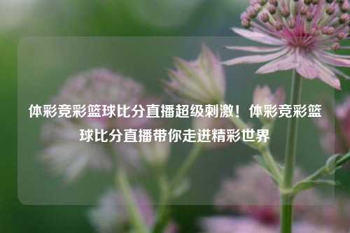 体彩竞彩篮球比分直播超级刺激！体彩竞彩篮球比分直播带你走进精彩世界
