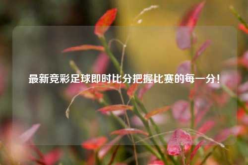 最新竞彩足球即时比分把握比赛的每一分！
