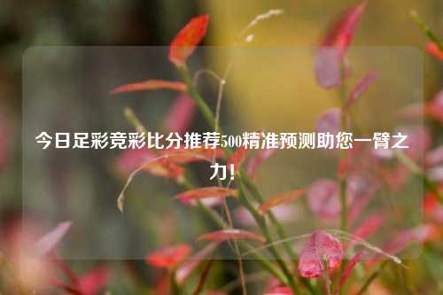今日足彩竞彩比分推荐500精准预测助您一臂之力！