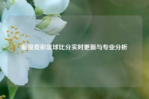 新浪竞彩足球比分实时更新与专业分析