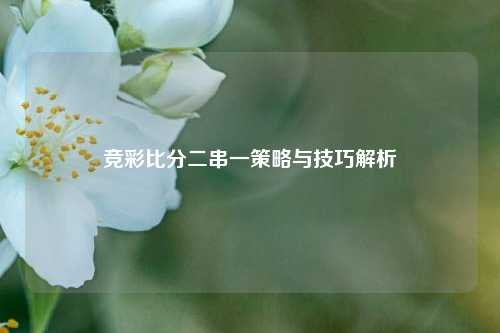 竞彩比分二串一策略与技巧解析