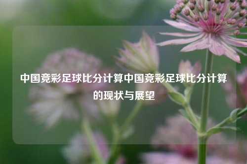 中国竞彩足球比分计算中国竞彩足球比分计算的现状与展望