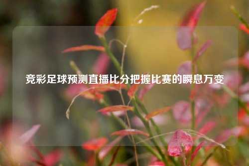 竞彩足球预测直播比分把握比赛的瞬息万变