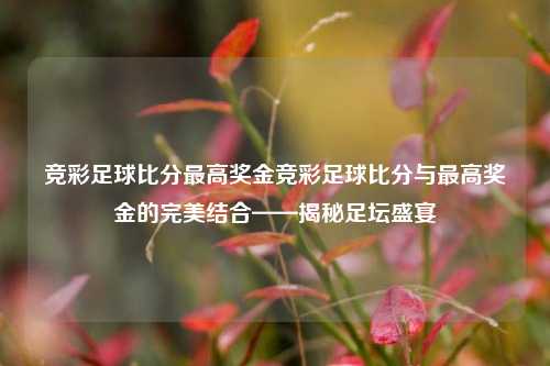 竞彩足球比分最高奖金竞彩足球比分与最高奖金的完美结合——揭秘足坛盛宴