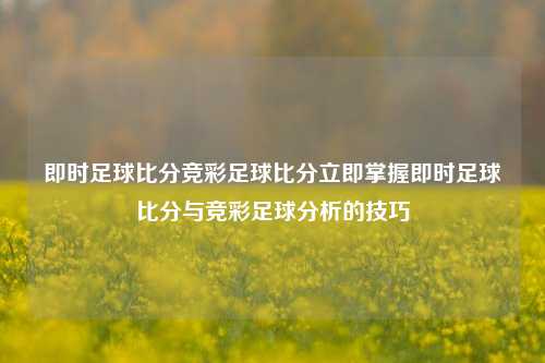 即时足球比分竞彩足球比分立即掌握即时足球比分与竞彩足球分析的技巧
