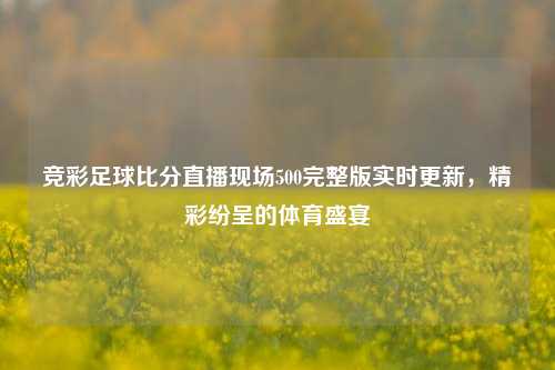 竞彩足球比分直播现场500完整版实时更新，精彩纷呈的体育盛宴
