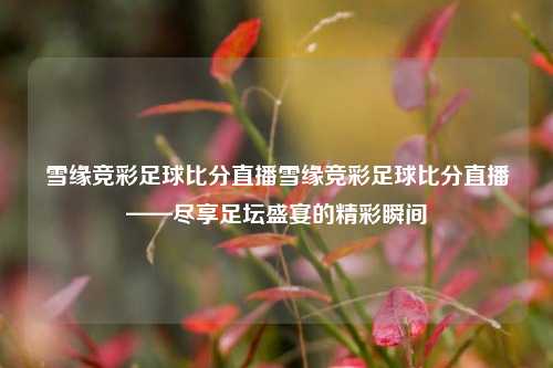 雪缘竞彩足球比分直播雪缘竞彩足球比分直播——尽享足坛盛宴的精彩瞬间